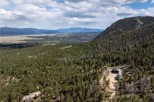 16874 County Rd 325, Buena Vista, CO 81211 - Photo 6