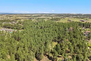 7005 Shoup Rd, Colorado Springs, CO 80908 - Photo 16