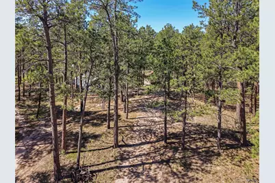 7005 Shoup Road, Colorado Springs, CO 80908 - Photo 6