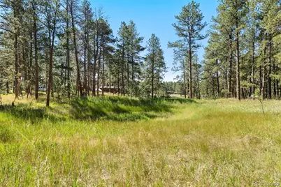 7005 Shoup Road, Colorado Springs, CO 80908 - Photo 12