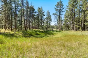 7005 Shoup Rd, Colorado Springs, CO 80908 - Photo 12