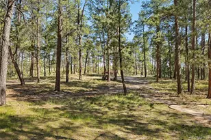 7005 Shoup Rd, Colorado Springs, CO 80908 - Photo 14