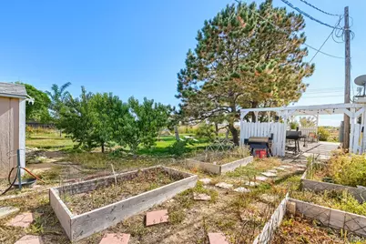 4919 County Road 24 3/4, Longmont, CO 80504 - Photo 28