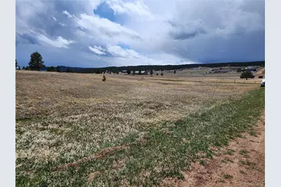 714 Empire Road, Florissant, CO 80816 - Photo 4