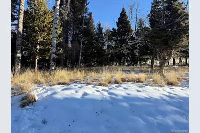 Lot 499 Collinson Drive, Fort Garland, CO 81133 - Photo 6