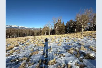 Lot 499 Collinson Drive, Fort Garland, CO 81133 - Photo 2