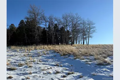 Lot 499 Collinson Drive, Fort Garland, CO 81133 - Photo 12