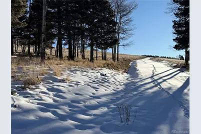 Lot 499 Collinson Drive, Fort Garland, CO 81133 - Photo 8