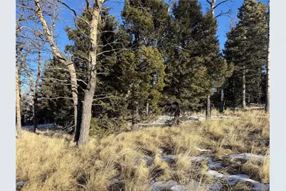 Lot 499 Collinson Drive, Fort Garland, CO 81133 - Photo 14