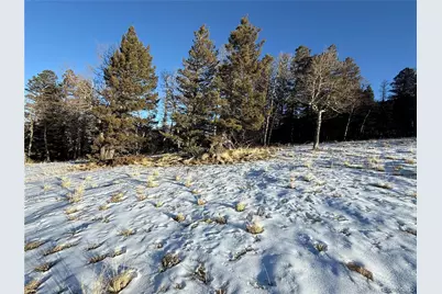 Lot 499 Collinson Drive, Fort Garland, CO 81133 - Photo 10