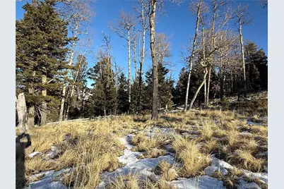 Lot 499 Collinson Drive, Fort Garland, CO 81133 - Photo 24