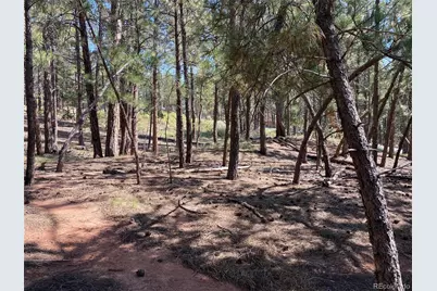 8141 Delaware Place, Larkspur, CO 80118 - Photo 26