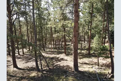 8141 Delaware Place, Larkspur, CO 80118 - Photo 14