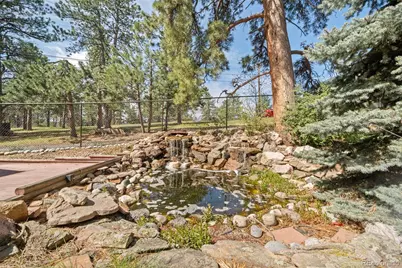 28480 Douglas Park Road, Evergreen, CO 80439 - Photo 38