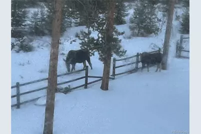 600 Cr-4480, Grand Lake, CO 80447 - Photo 38