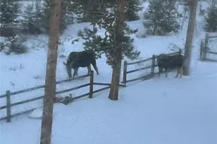 600 Cr-4480, Grand Lake, CO 80447 - Photo 38