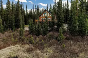 629 Bum Dr, Fairplay, CO 80440 - Photo 38