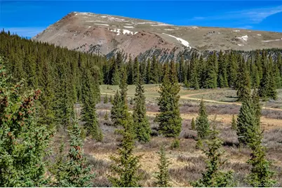 629 Bum Drive, Fairplay, CO 80440 - Photo 44