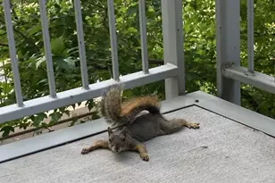 1401 Delgany St, Denver, CO 80202 - Photo 24