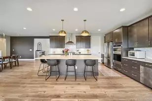 17520 Rose Mallow Ave, Parker, CO 80134 - Photo 8