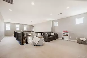 2510 Bluestem Willow Dr, Loveland, CO 80538 - Photo 28