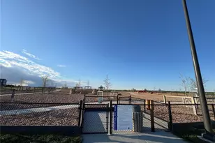 17674 Olive St, Broomfield, CO 80023 - Photo 28