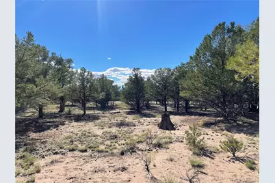 178 Moonlight Way, Crestone, CO 81131 - Photo 2
