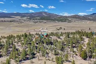 229 Ladigo Ln, Hartsel, CO 80449 - Photo 48