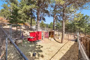 1219 Yarnell Dr, Larkspur, CO 80118 - Photo 26
