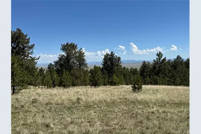 9430 Ranch Road, Hartsel, CO 80449 - Photo 1