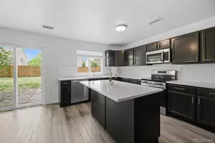 4839 Liverpool St, Denver, CO 80249 - Photo 4