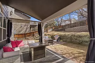 10330 Lions Path, Lone Tree, CO 80124 - Photo 30