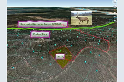 3323 Purnell Lane, Fort Garland, CO 81133 - Photo 1