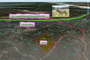 3323 Purnell Ln, Fort Garland, CO 81133 - Photo 1