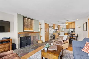 240 E La Bonte Street, Dillon, CO 80435 - Photo 6