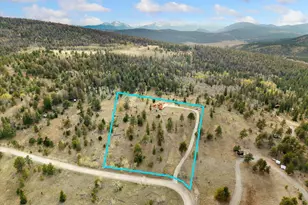 937 Pitchfork Rd, Hartsel, CO 80449 - Photo 44