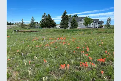3447 Wild Rose Circle, Parker, CO 80138 - Photo 2