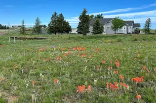 3447 Wild Rose Cir, Parker, CO 80138 - Photo 2