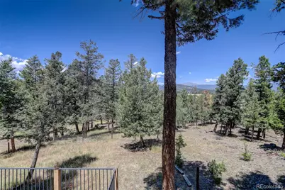 71 Columbine Drive, Bailey, CO 80421 - Photo 30