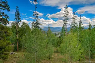 102 Thimbleberry Way, Silverthorne, CO 80498 - Photo 48