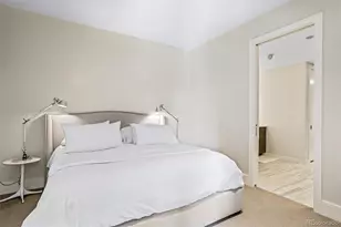 250 Columbine St, Denver, CO 80206 - Photo 14
