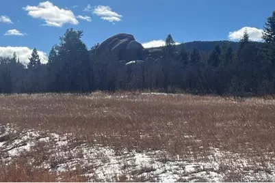 6009 St Andrews Court, Larkspur, CO 80118 - Photo 8