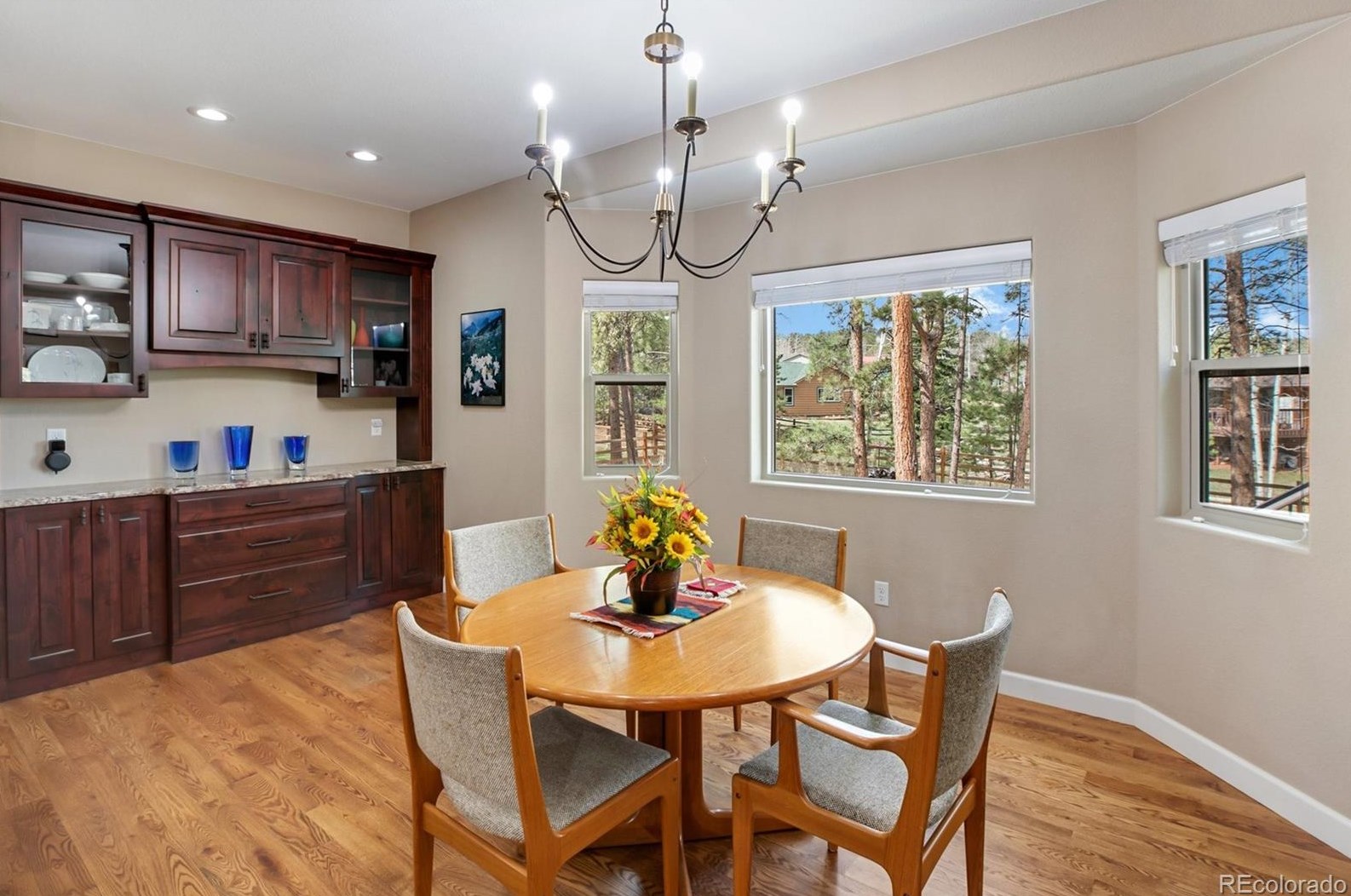 1174 Ptarmigan Dr, Woodland Park CO 80863-8005 exterior