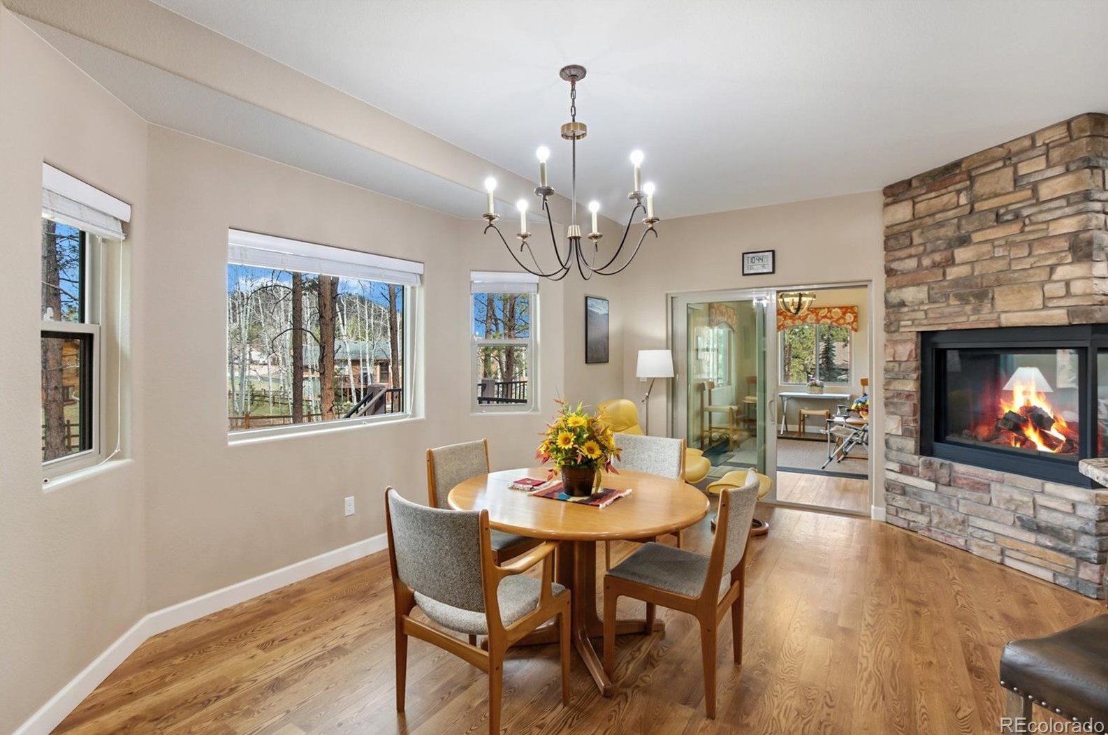 1174 Ptarmigan Dr, Woodland Park CO 80863-8005 exterior