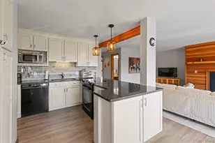 91300 Ryan Gulch Rd, Silverthorne, CO 80498 - Photo 18