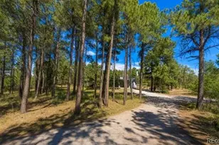 1251 Valley View Dr, Larkspur, CO 80118 - Photo 1