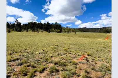 5962 Cherokee Trail, Hartsel, CO 80449 - Photo 10