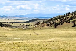 5962 Cherokee Trail, Hartsel, CO 80449 - Photo 1