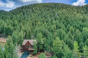 1321 Forest Edge Rd, Woodland Park, CO 80863 - Photo 30