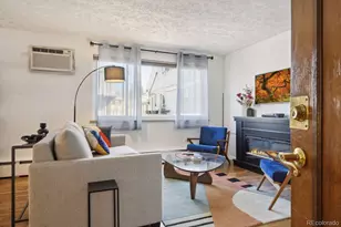 1063 N Clarkson St, Denver, CO 80218 - Photo 2